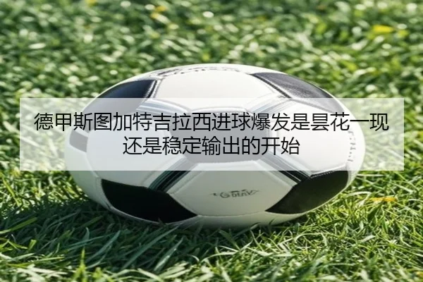 img_1781714625589_388_1_951.jpg
